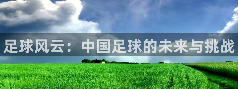 足球风云：中国足球的未来与挑战