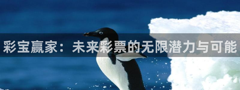 人生就是搏：彩宝赢家：未来彩票的无限潜力与可能