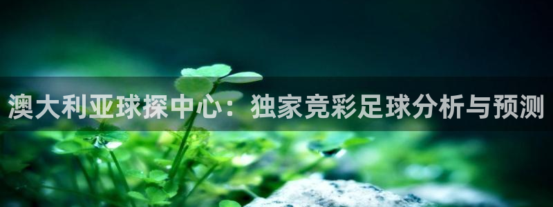 尊龙凯时人生就是搏平台：澳大利亚球探中心：独家竞彩足球分析与预测