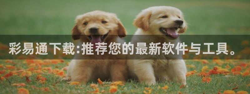 凯龙尊时一人生就是搏：彩易通下载:推荐您的最新软件与工具。