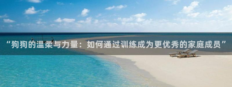 人生就是搏手机版：“狗狗的温柔与力量：如何通过训练成为更优秀的家庭成员”