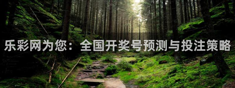 尊龙凯时人生就是搏集团：乐彩网为您：全国开奖号预测与投注策略