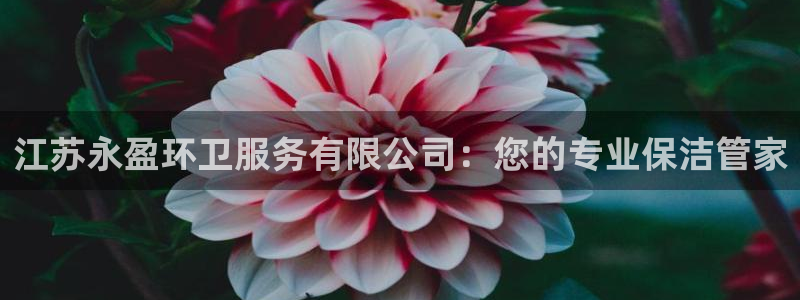 尊龙凯时人生就是搏集团：江苏永盈环卫服务有限公司：您的专业保洁管家
