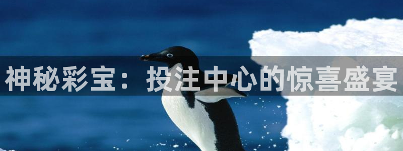 尊龙凯时人生就是搏免费观看：神秘彩宝：投注中心的惊喜盛宴