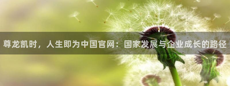 尊龙凯时·人生就是搏：尊龙凯时，人生即为中国官网：国家发展与企业成长的路径